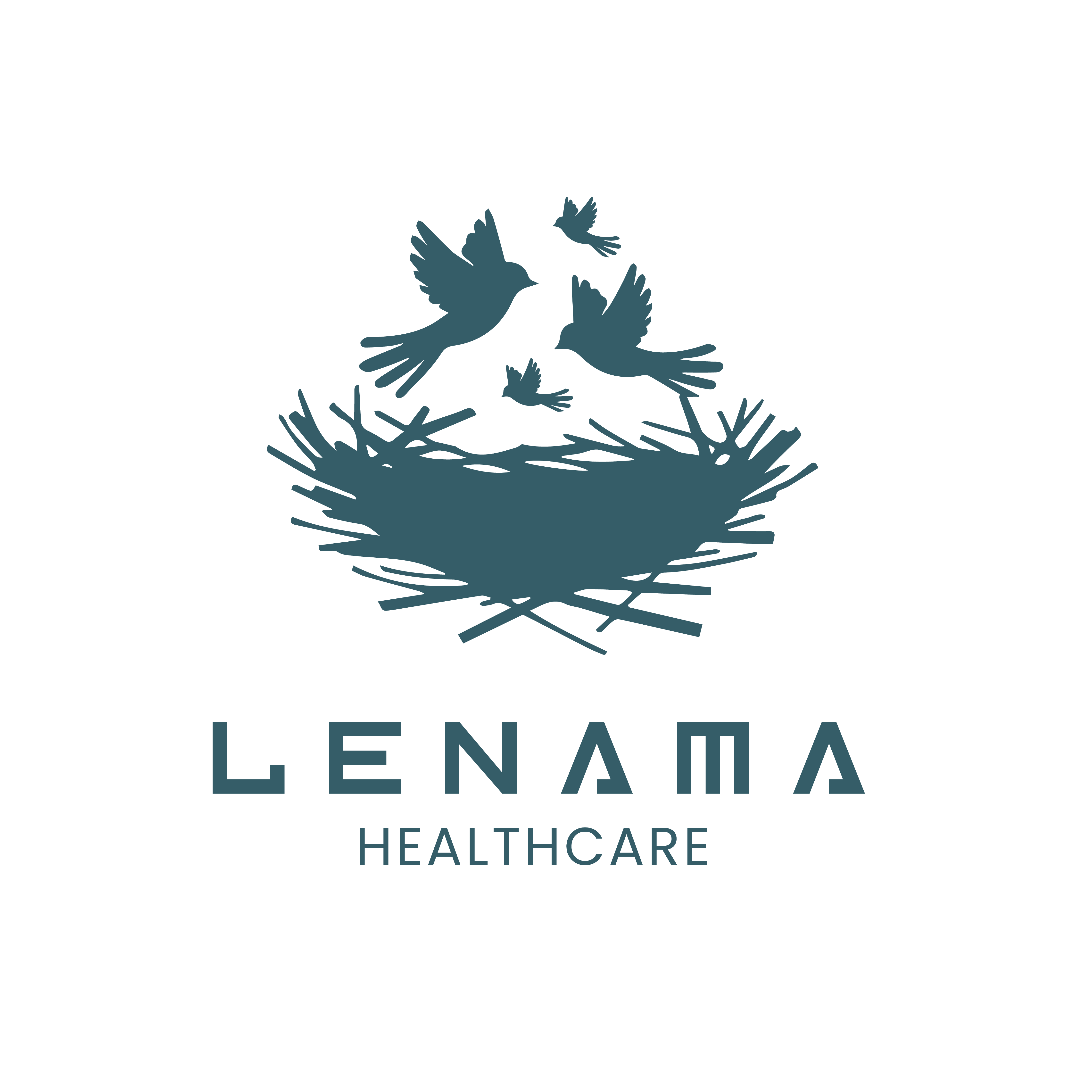 Lenama Healthcare Logo
